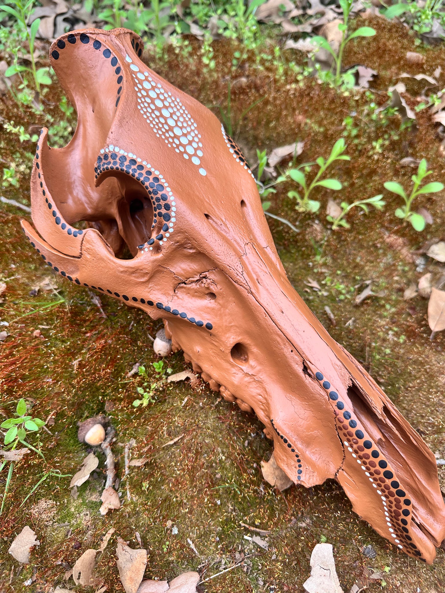 Hand Painted Terracotta Wild Hog Skull