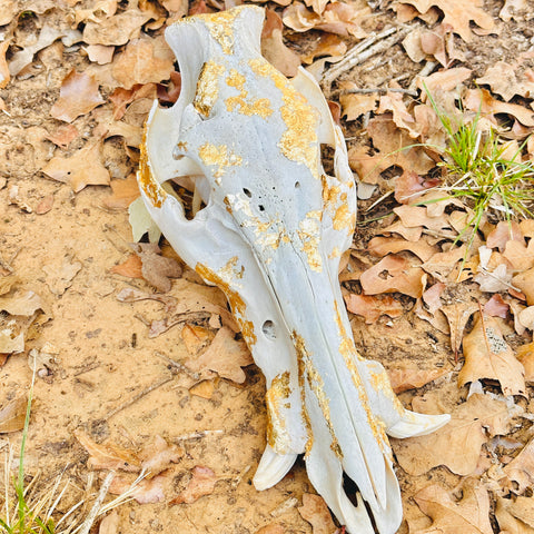 Gold Leaf Hog Skull