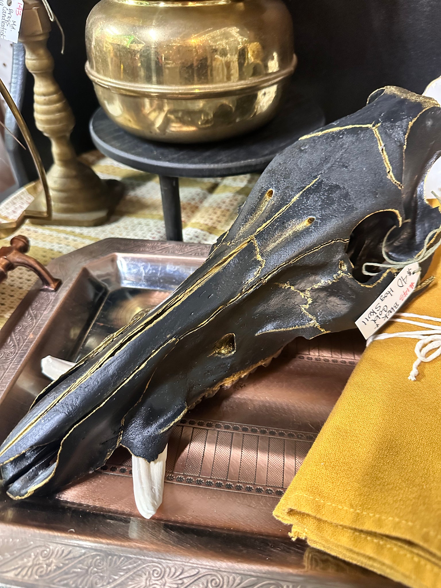Black & Gold Accented Hand Painted Wild Hog Skull