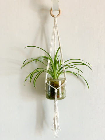 Mini Macrame Plant Hanger- 2 Colors